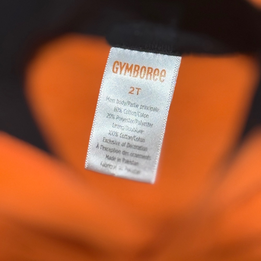 Gymboree Kids Orange Pumpkin Face Hoodie Sweatshirt Jogger Pants Set 2T - Picture 4 of 5